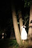 Sous bois 43 * 5184 x 3456 * (6.28MB)